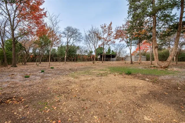 a view of road covered with trees