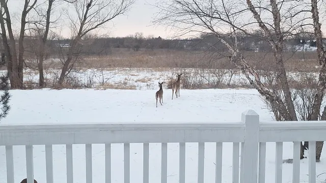 a view of balcony with furniture