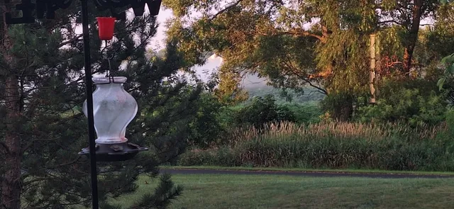 view of a bed and a rug