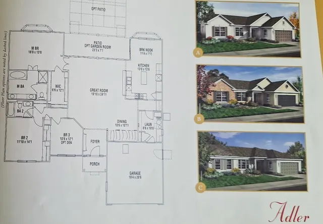 a living room with furniture flowerpot and wooden floor