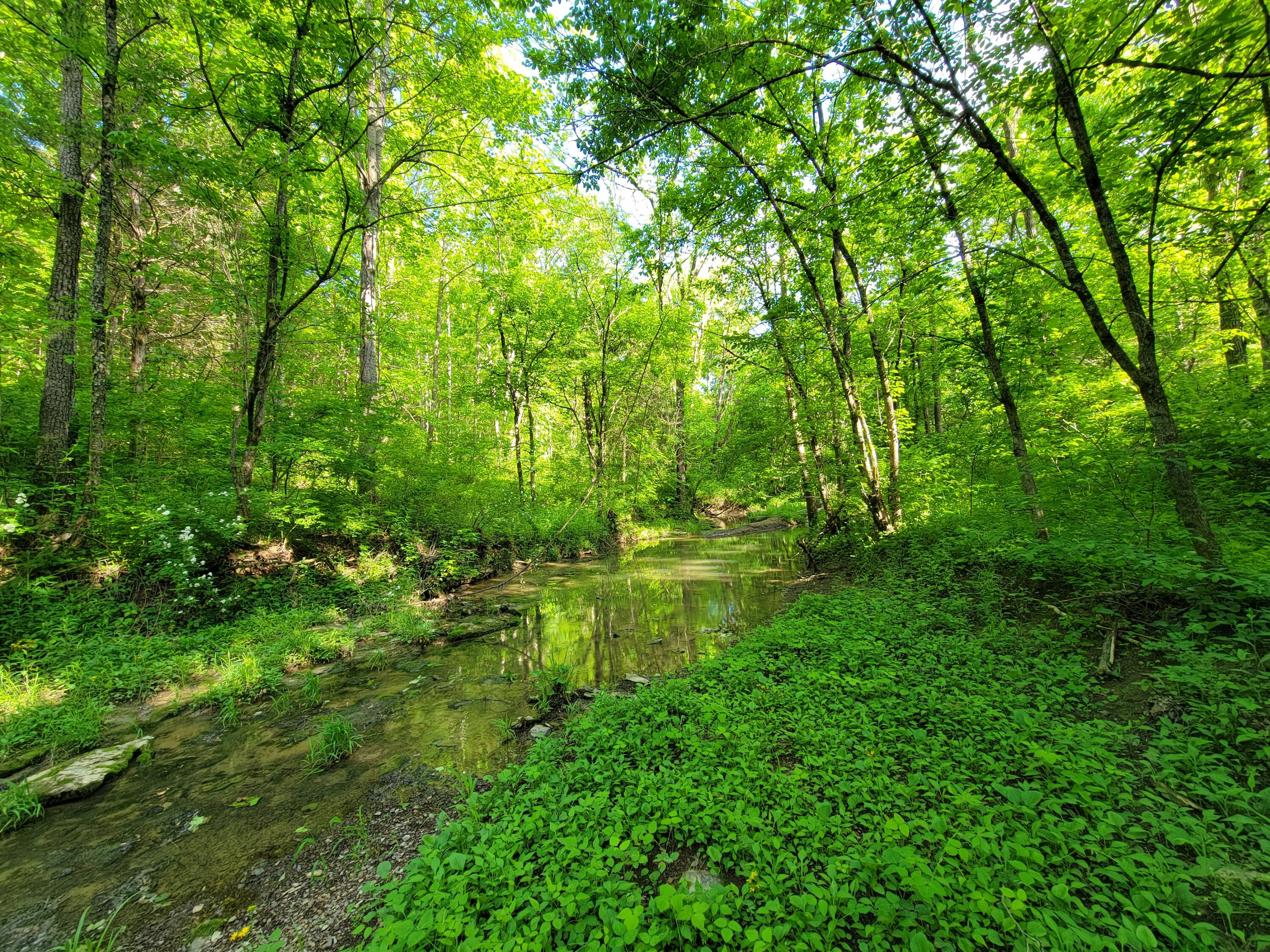119-acres Keefer Road Corinth, KY 41010 - Photo 39 of 44 Gallery Image 39