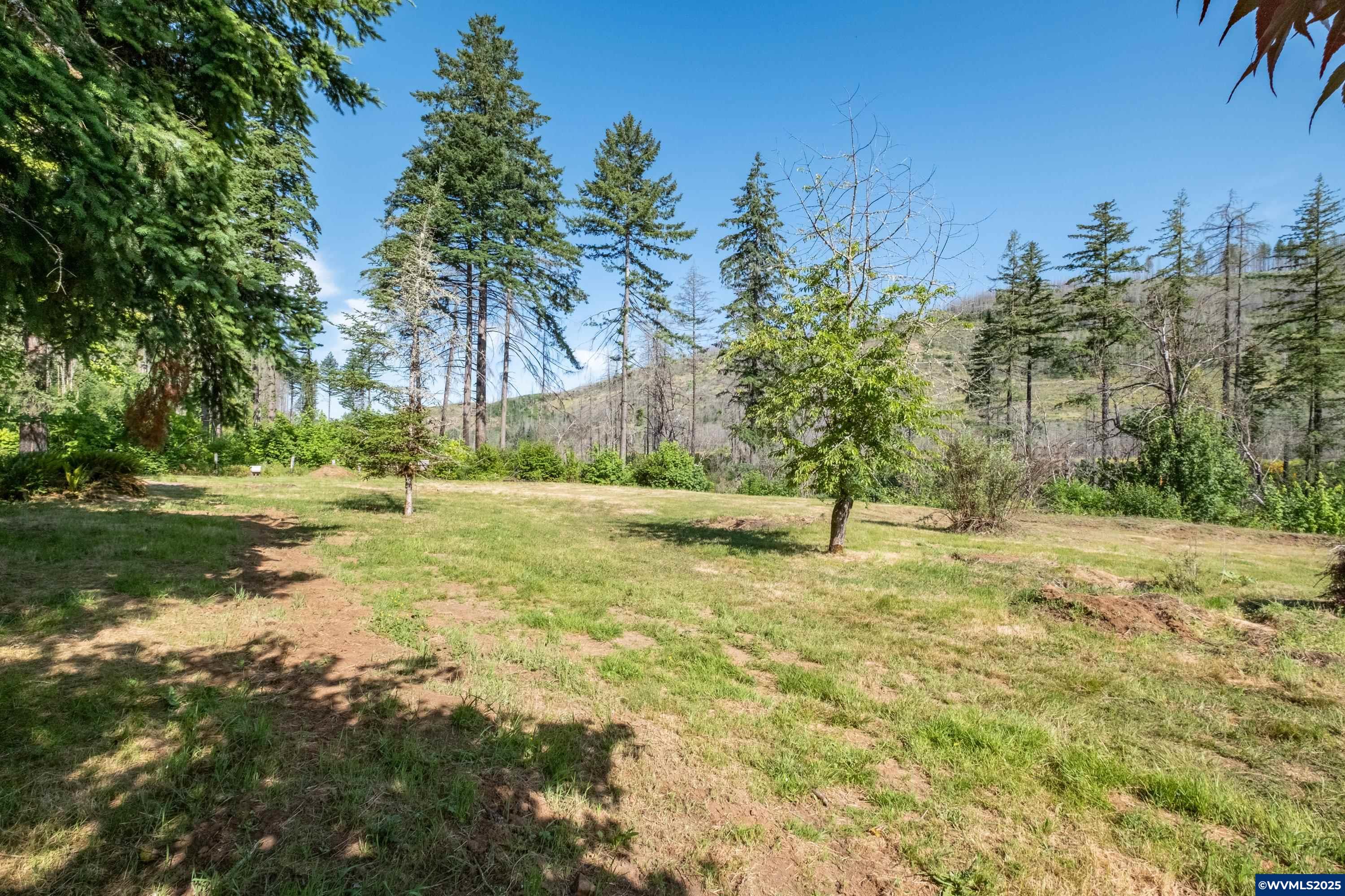 26147 Taylor Park Road Southeast Lyons, OR 97358 - Photo 8 of 25