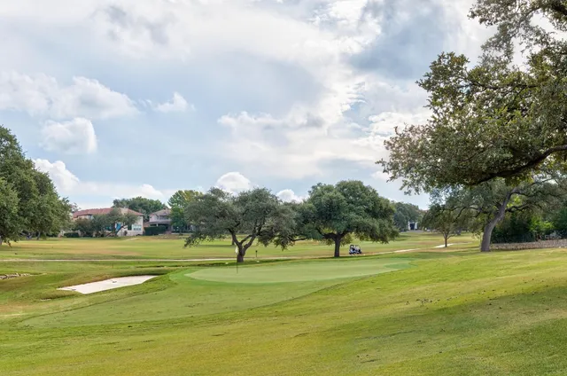 a view of a bunch of plants and trees in a garden