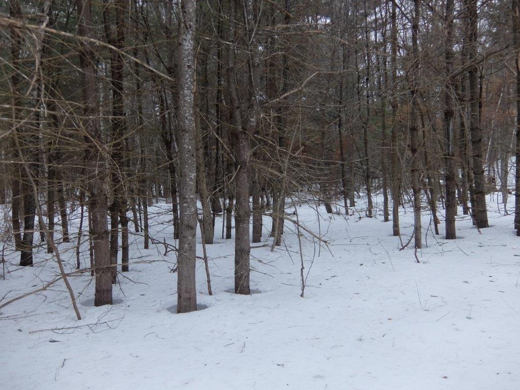 0 Pound Hill Road Cornish, ME 04020 - Photo 13 of 15 DSCF7932