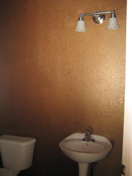 952 South Racine Lane Gilbert, AZ 85296 - Photo 5 of 14 Powder room