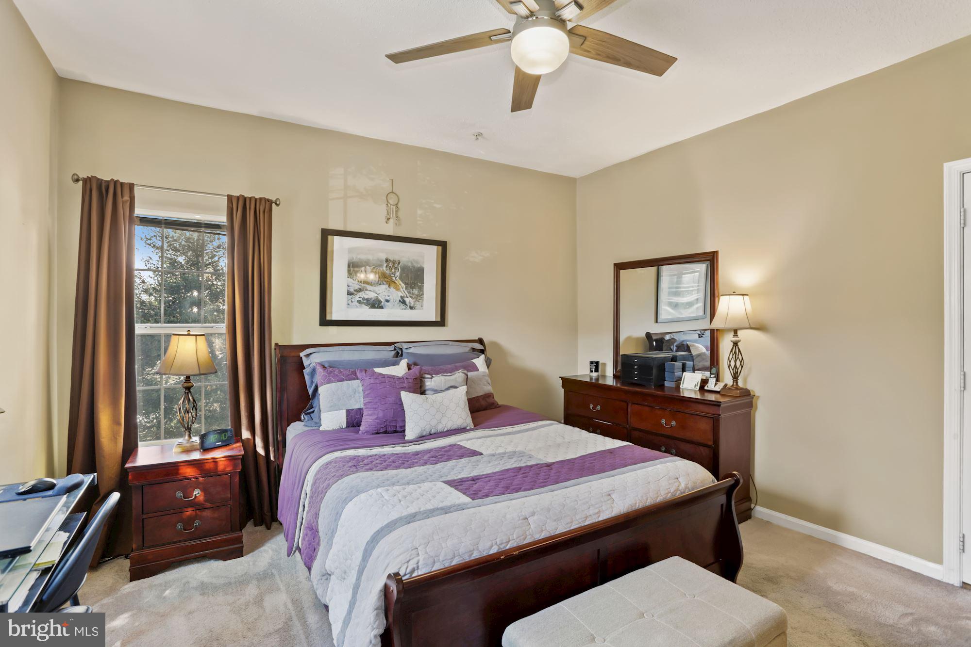 1720 Lake Shore Crest Drive, Unit 22 Reston, VA 20190 - Photo 22 of 35 Spacious Owner's Suite with lush carpeting