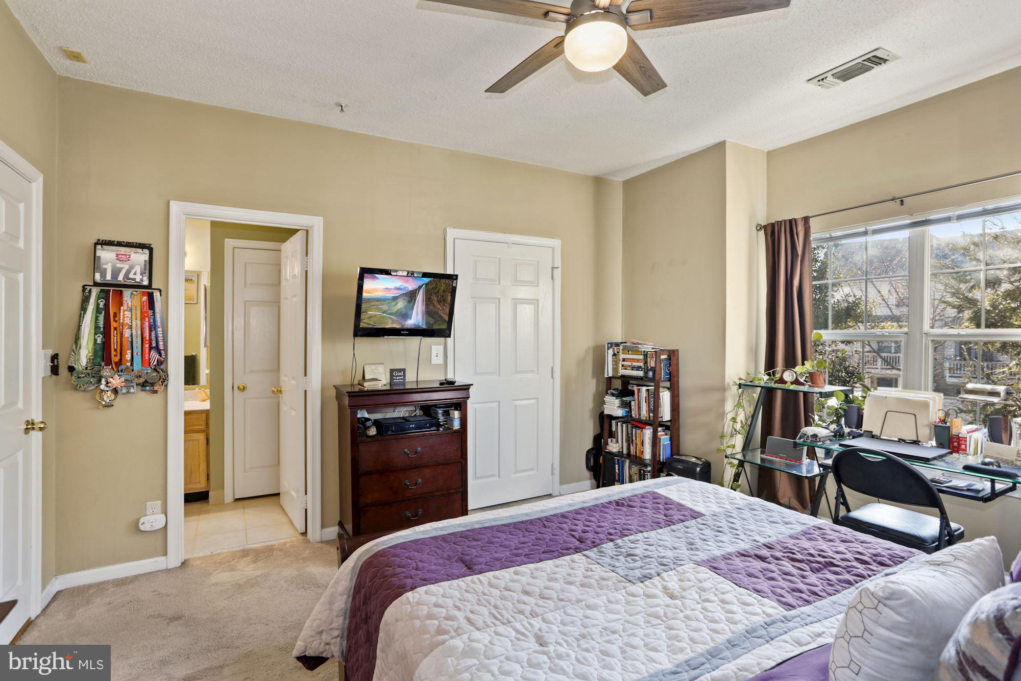 1720 Lake Shore Crest Drive, Unit 22 Reston, VA 20190 - Photo 24 of 35 Spacious Owner's Suite with lush carpeting