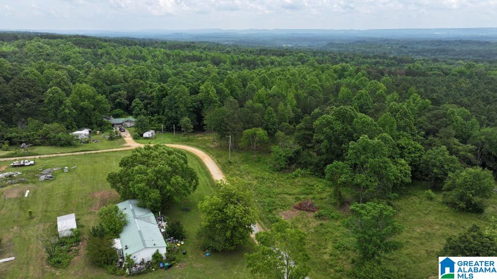 570 Culwell Road Hayden, AL 35079 - Photo 3 of 21