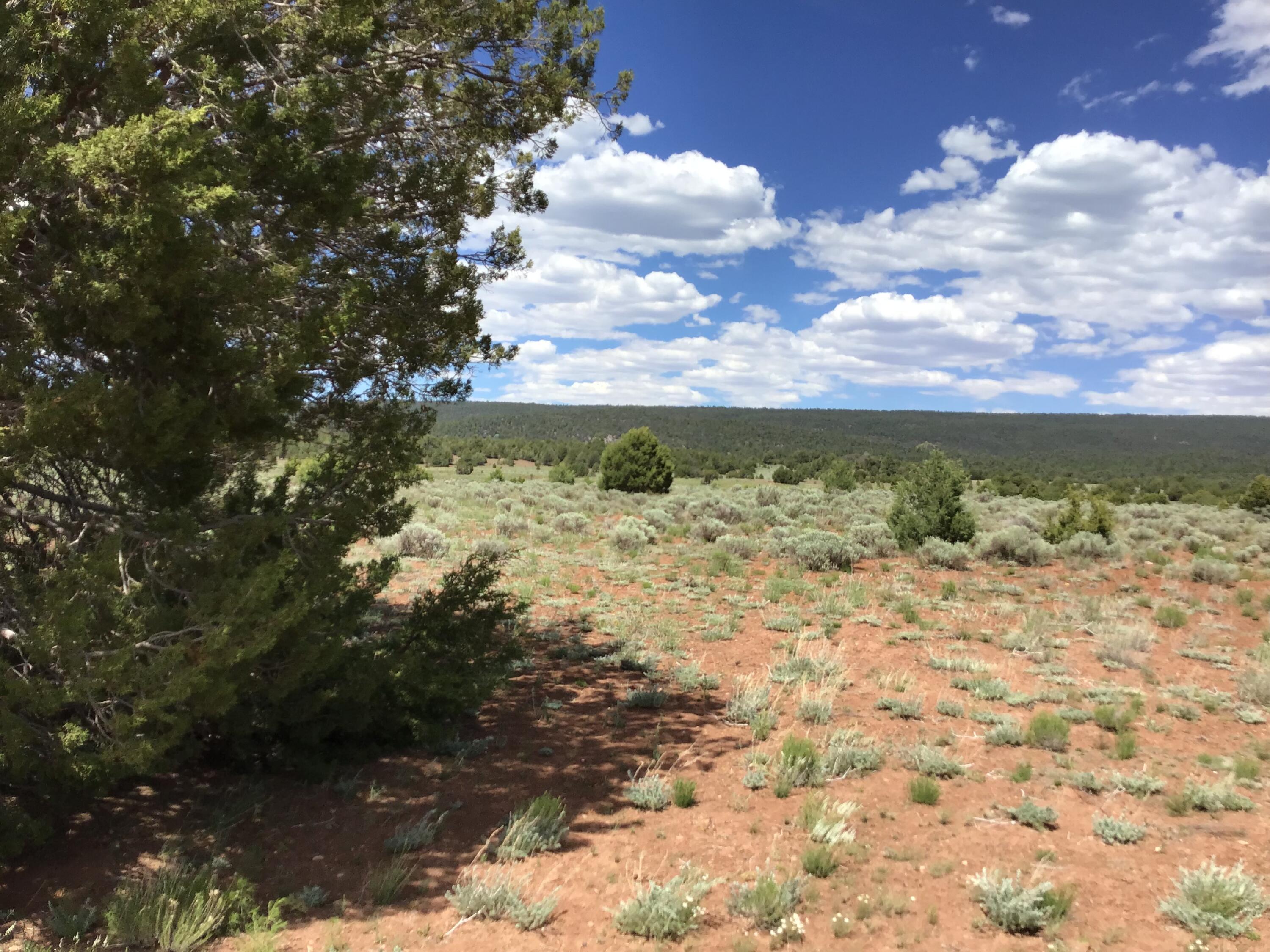 Lot D Timberlake Road Ramah, NM 87321 - Photo 13 of 45 Gallery Image 13