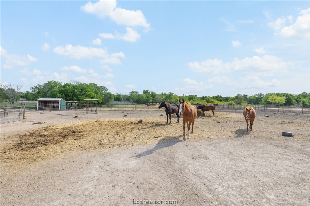 203 Saffle Road Robinson, TX 76706 - Photo 30 of 38