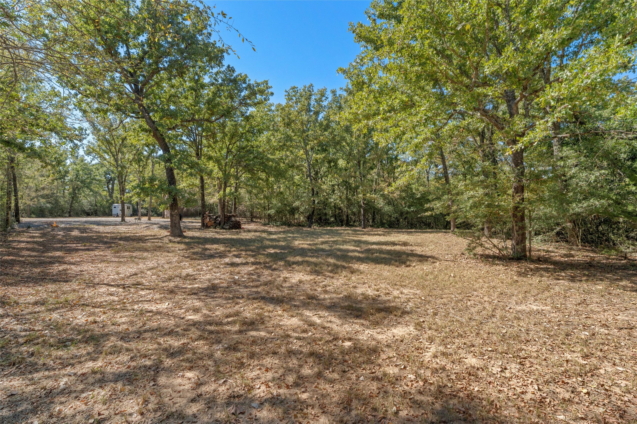 19597 Staceys Lndg Road Thornton, TX 76687 - Photo 2 of 13 a view of outdoor space with trees