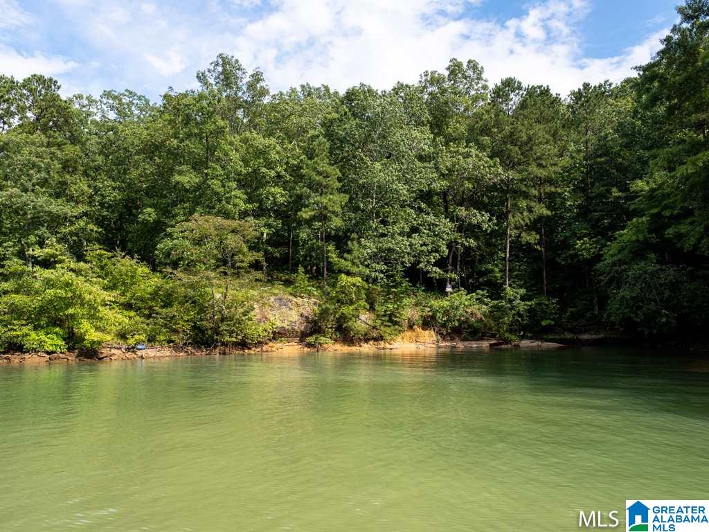 Long Leaf Road, Unit 9 Double Springs, AL 35553 - Photo 8 of 15