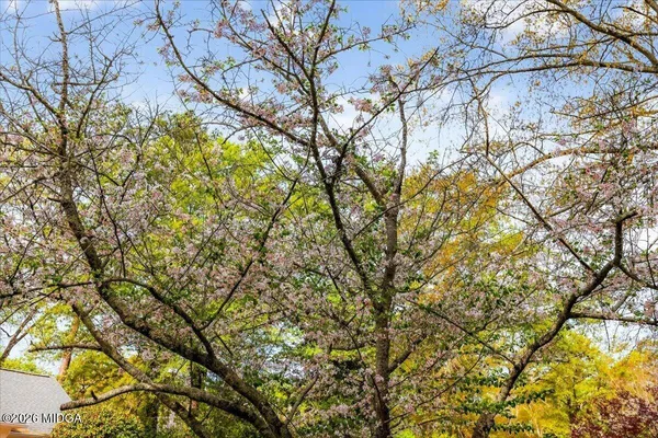 $490,000 | 3824 Overlook Avenue, Macon, GA 31204