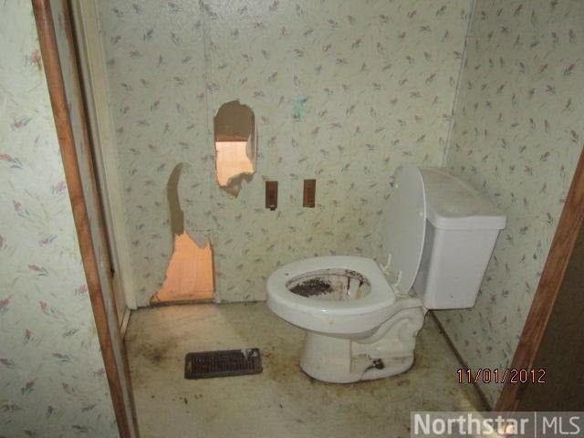 14792 Maple Leaf Road Pine City, MN 55063 - Photo 8 of 11 Gallery Image 8