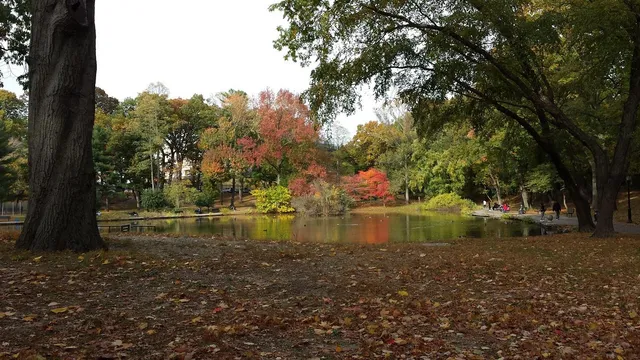 $1,780,000 | 85-10 165th Street | Jamaica Hills