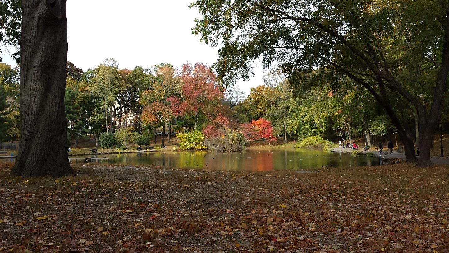 85-10 165th Street Queens, NY 11432 - Photo 24 of 24 a view of lake view