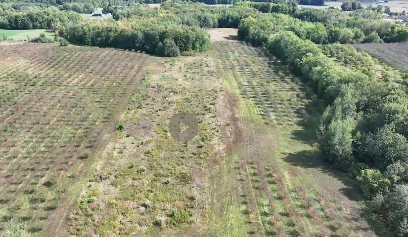 East Potter Road Traverse City, MI 49696 - Photo 21 of 26 1929255-B50DF26F-ACAC-4FC7-BF8F-5C182FBF9BCF.JPG