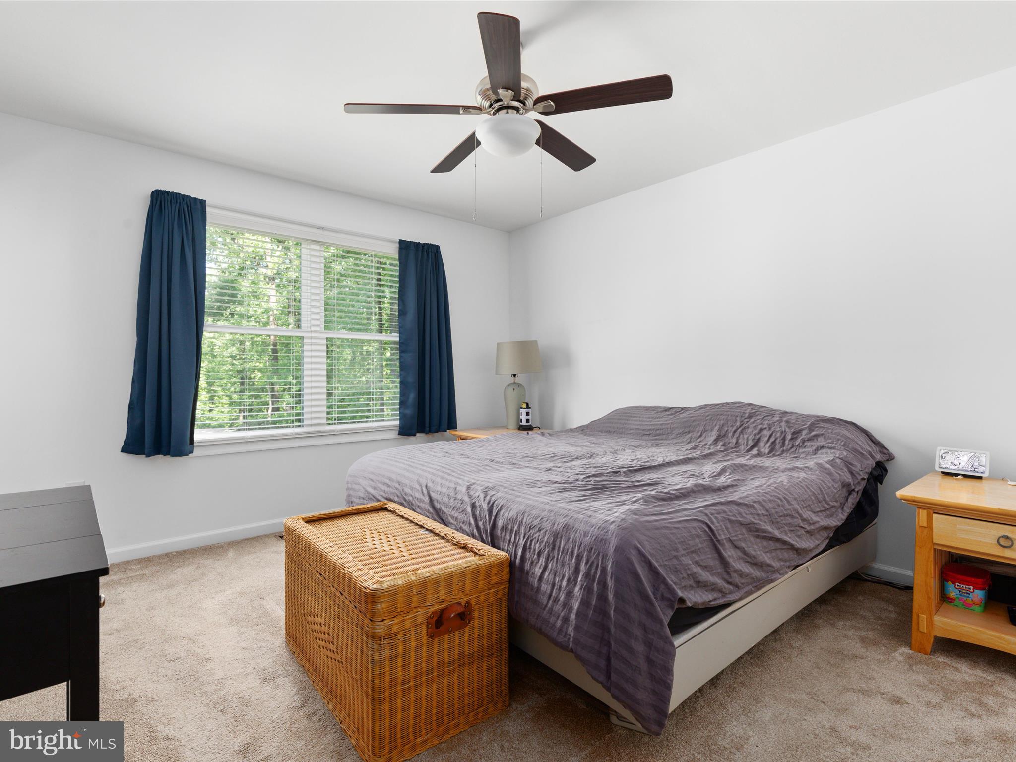 295 Rocky Mt Road Linden, VA 22642 - Photo 15 of 39 2E6A4723_295 Rocky Mt Rd - Absolute Altitude -6 -