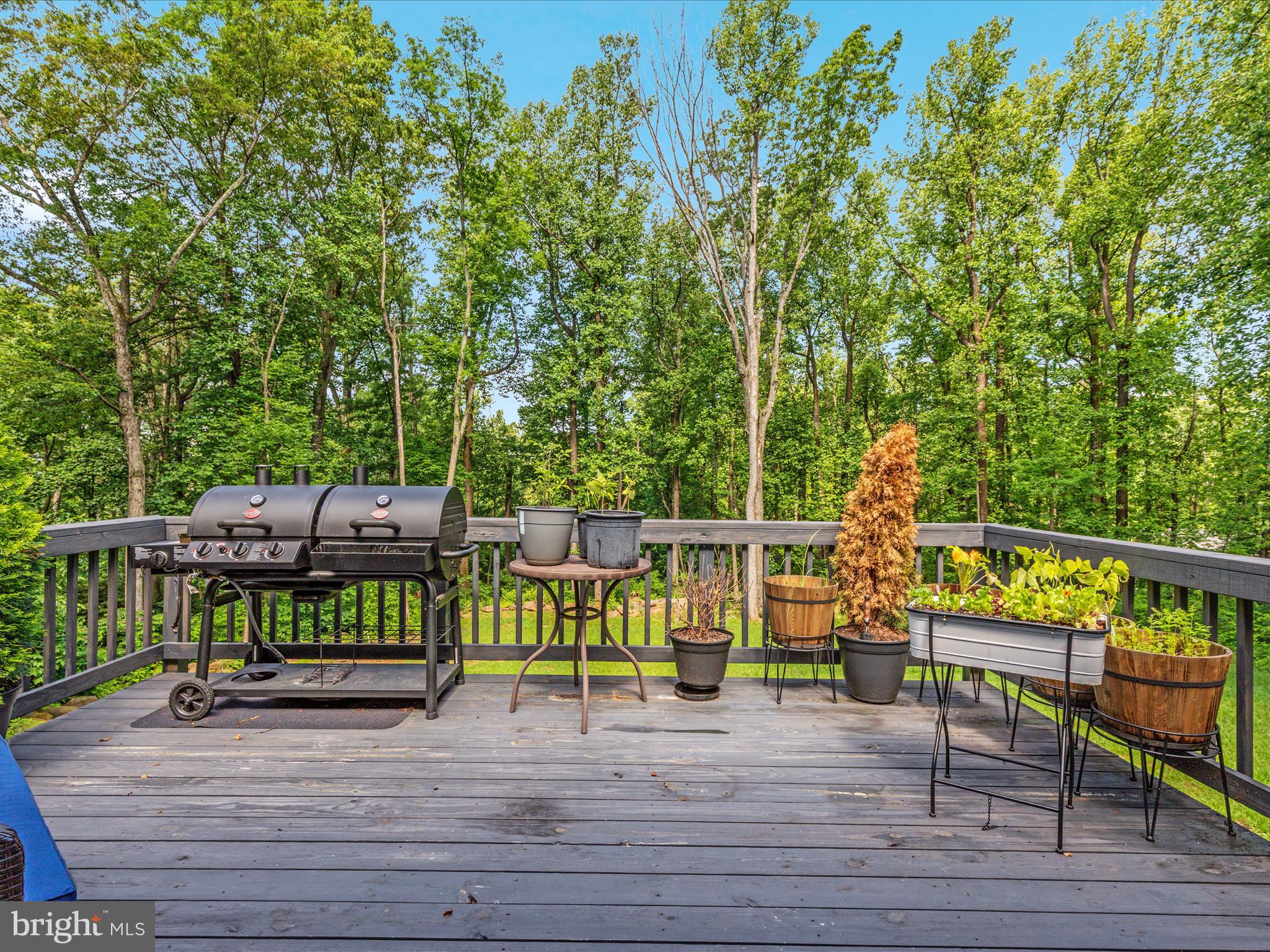 295 Rocky Mt Road Linden, VA 22642 - Photo 21 of 39 2E6A4772_295 Rocky Mt Rd - Absolute Altitude -6 -