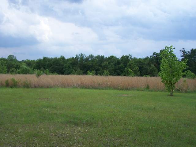709 Mayfield School Road Belton, SC 29627 - Photo 3 of 8 Gallery Image 3
