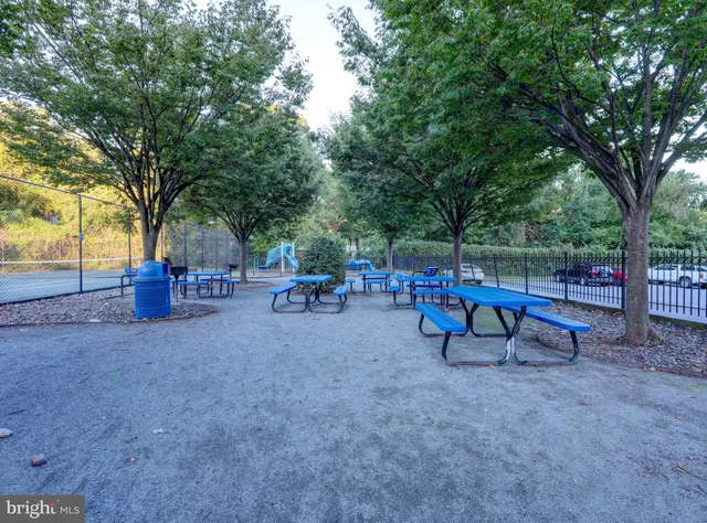 a view of park with bench and trees