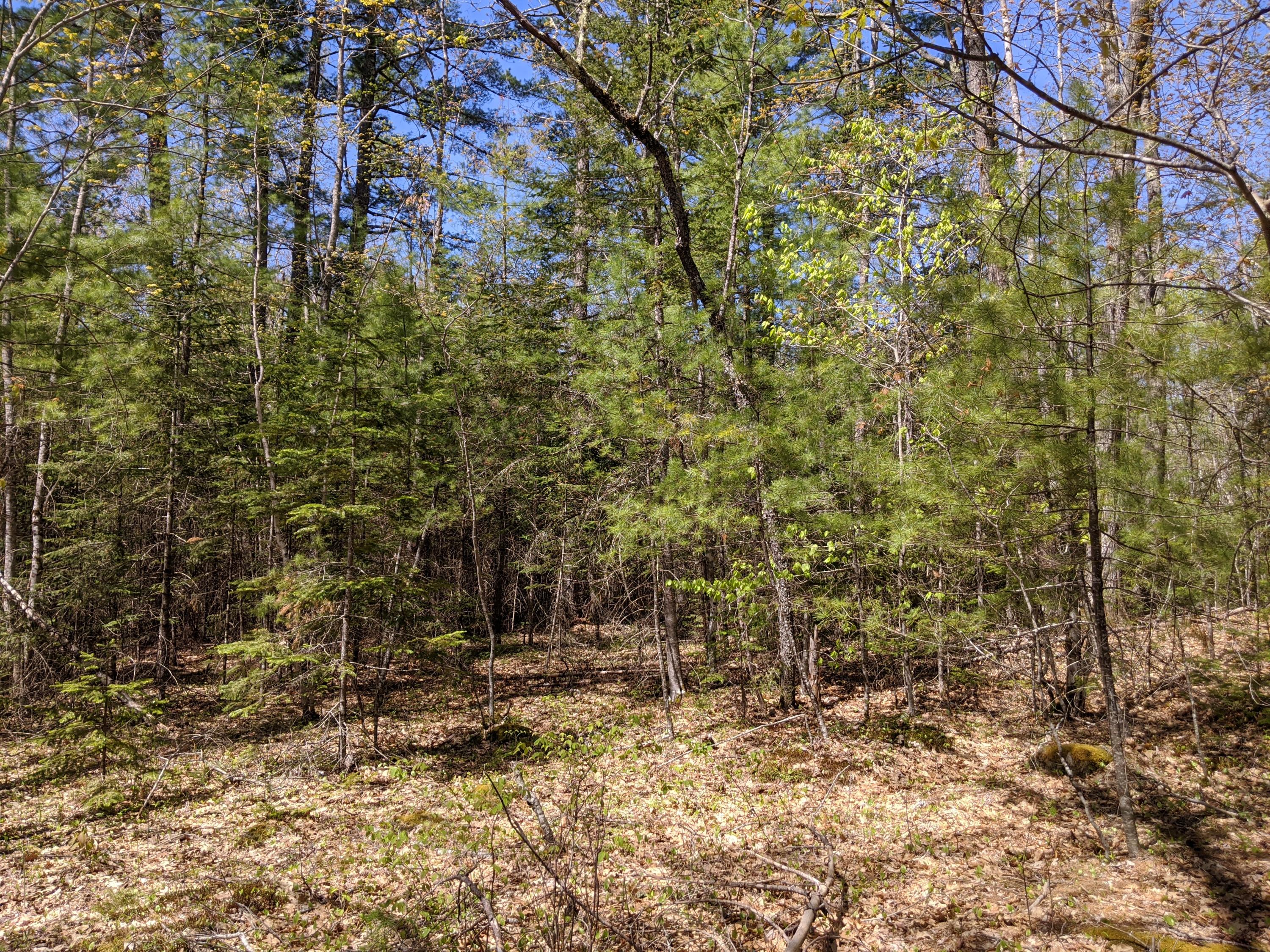 Lot A South Colby Road Somerville, ME 04348 - Photo 7 of 10 IMG_20200522_110818