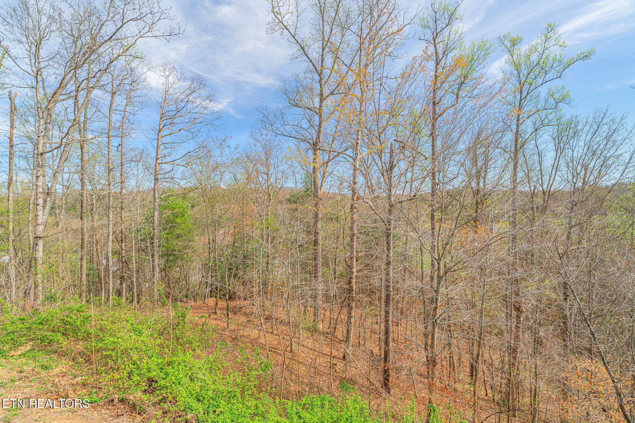 106 Juniperberry Road Oak Ridge, TN 37830 - Photo 27 of 52 Wooded Views