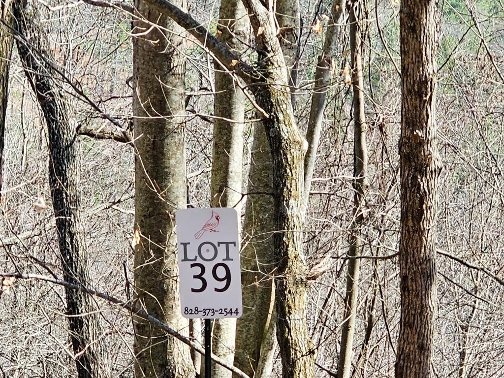 Lot 39 Merlin Trail Murphy, NC 28906 - Photo 5 of 21