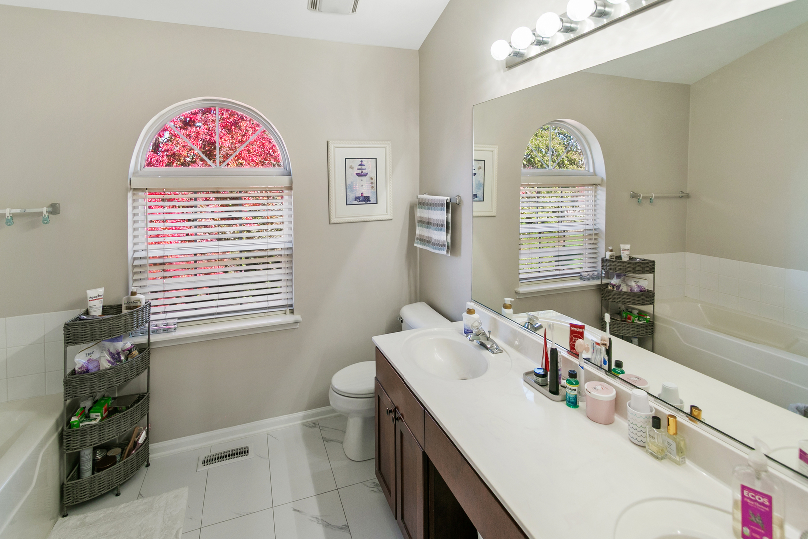338 Millstream Lane Oswego, IL 60543 - Photo 13 of 26 a bathroom with a sink a vanity and a window