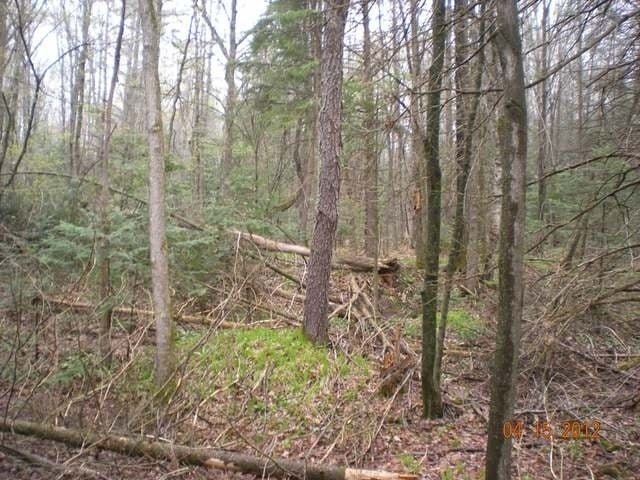 On Popple Road Antigo, WI 54409 - Photo 7 of 18 Gallery Image 7