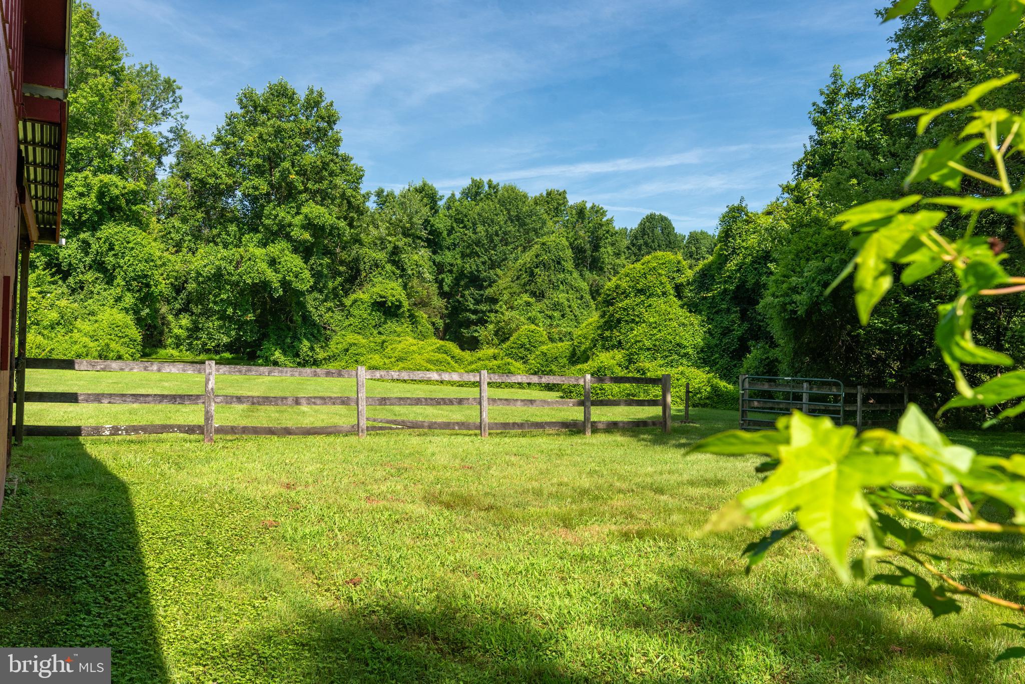 3514 Williamsburg Road Davidsonville, MD 21035 - Photo 45 of 50 a view of a park with large trees