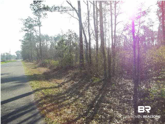 300 Deer Creek Road Monroeville, AL 36460 - Photo 1 of 1