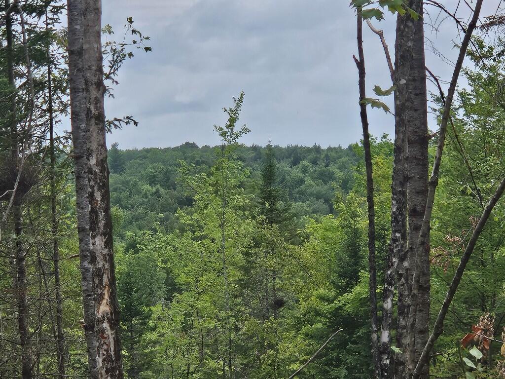 22-03 Rowell Mountain Road Solon, ME 04979 - Photo 2 of 55 20260721_160734
