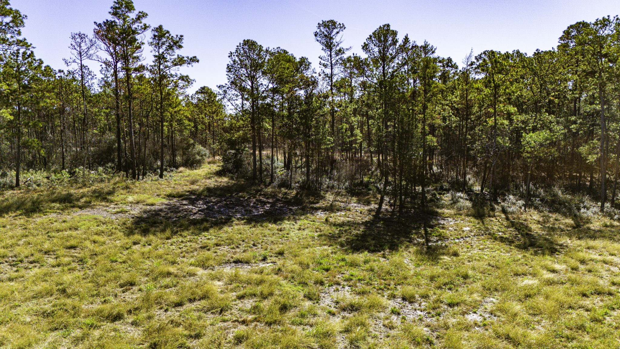 18 Magnolia Ranch Road Onalaska, TX 77360 - Photo 11 of 11 a view of a yard with trees