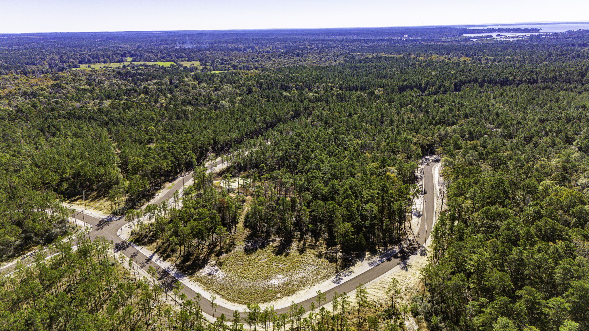 18 Magnolia Ranch Road Onalaska, TX 77360 - Photo 4 of 11 a view of a forest with a forest