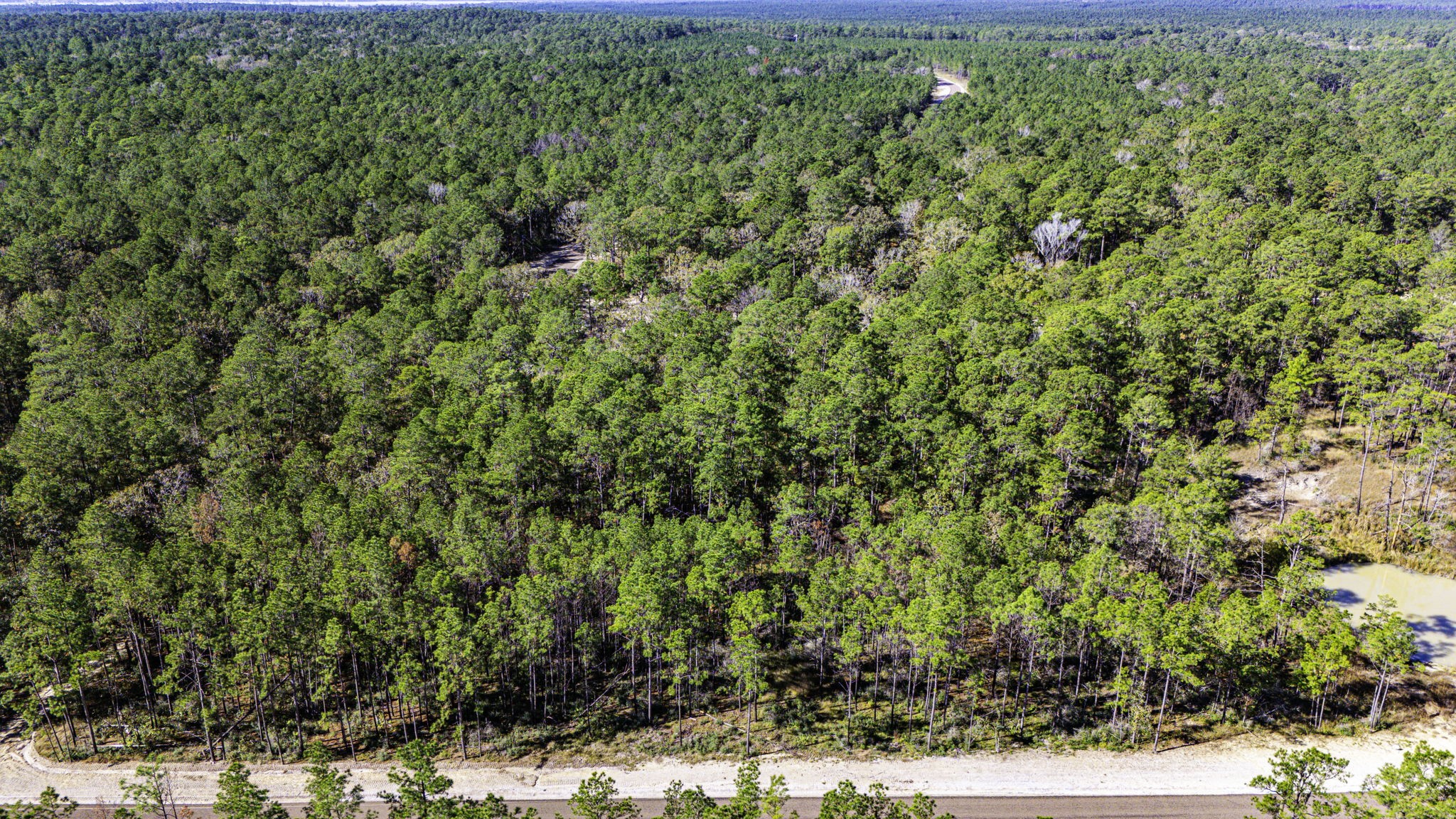 18 Magnolia Ranch Road Onalaska, TX 77360 - Photo 6 of 11 a view of a lush green field