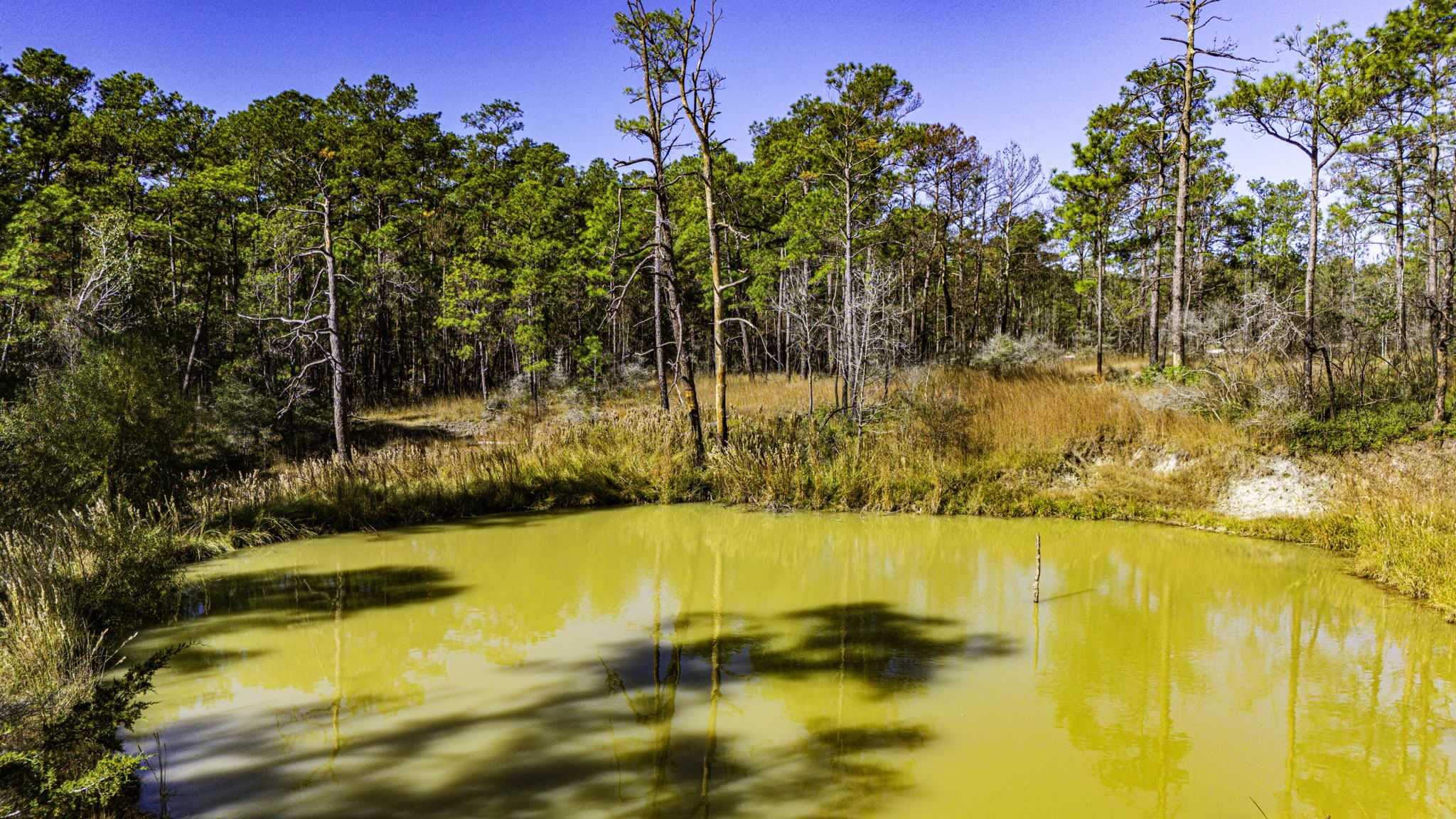 18 Magnolia Ranch Road Onalaska, TX 77360 - Photo 9 of 11 a view of a swimming pool with an ocean view