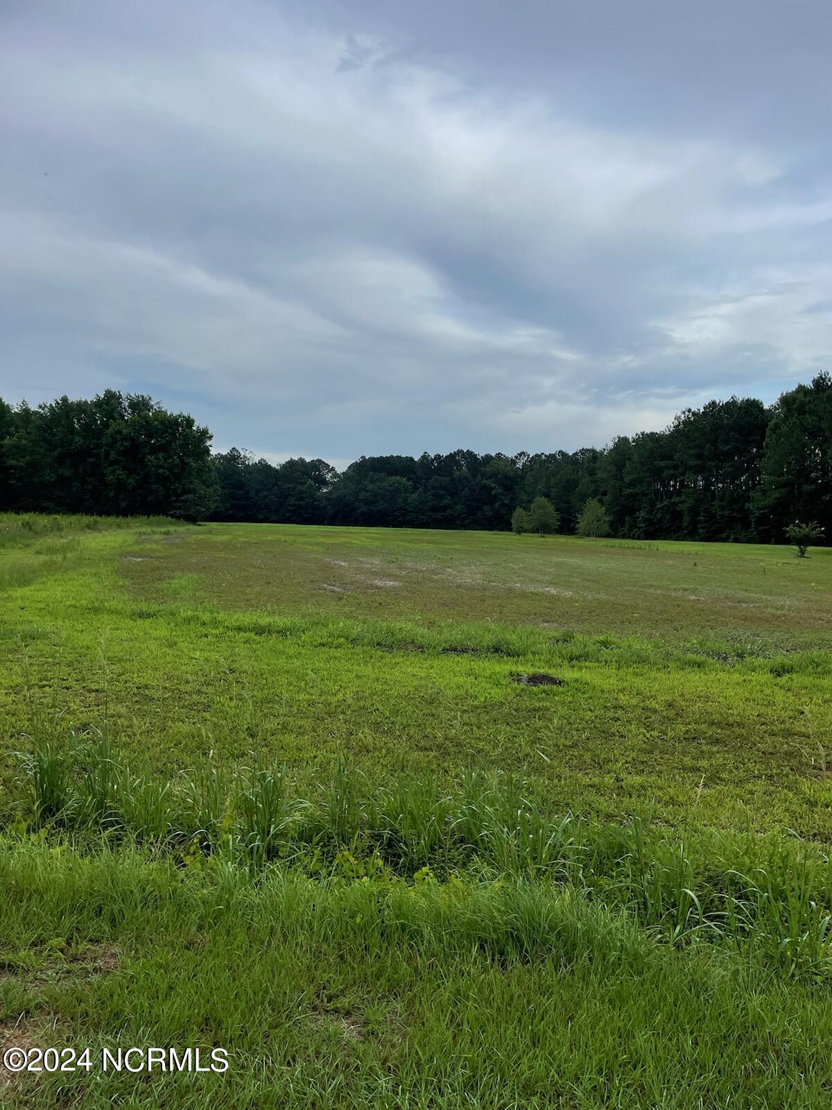 6134 Dave Bright Road Faison, NC 28341 - Photo 1 of 3 IMG_0510 (1)