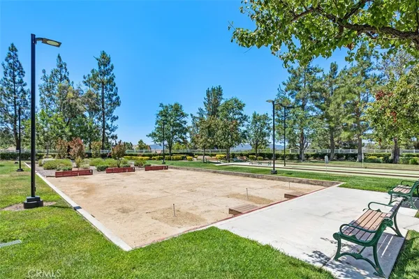 a view of a park with large trees
