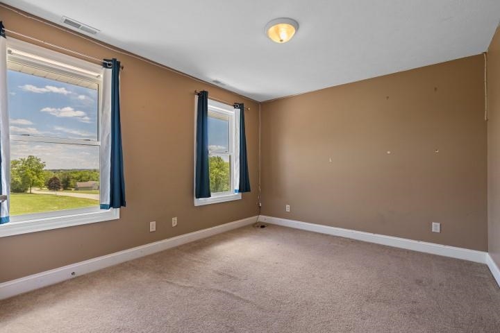 2081 Lake Summerset Road Davis, IL 61019 - Photo 21 of 34 Gallery Image 21