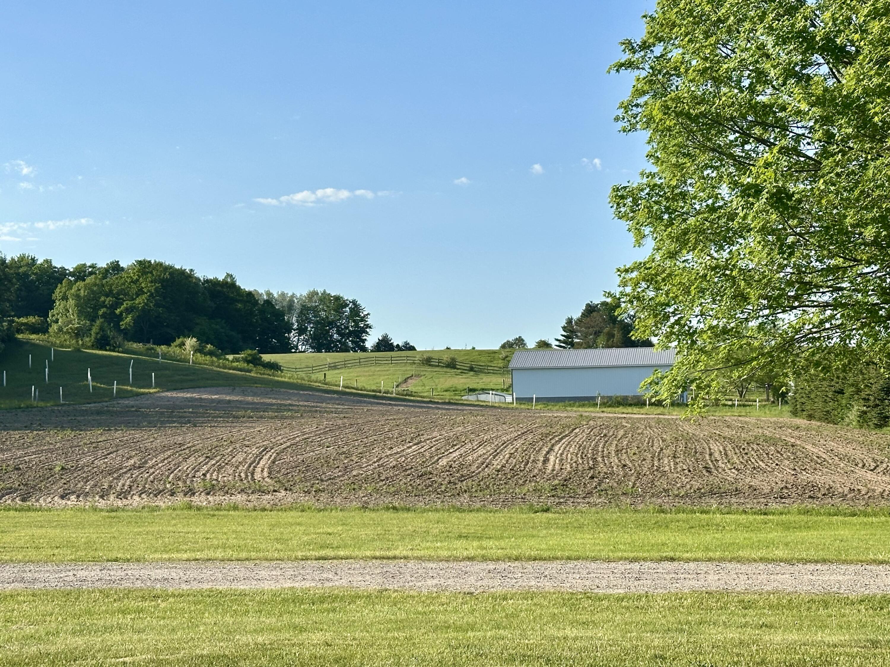 5372 Milarch Road Manistee, MI 49660 - Photo 9 of 41 Plowed fields