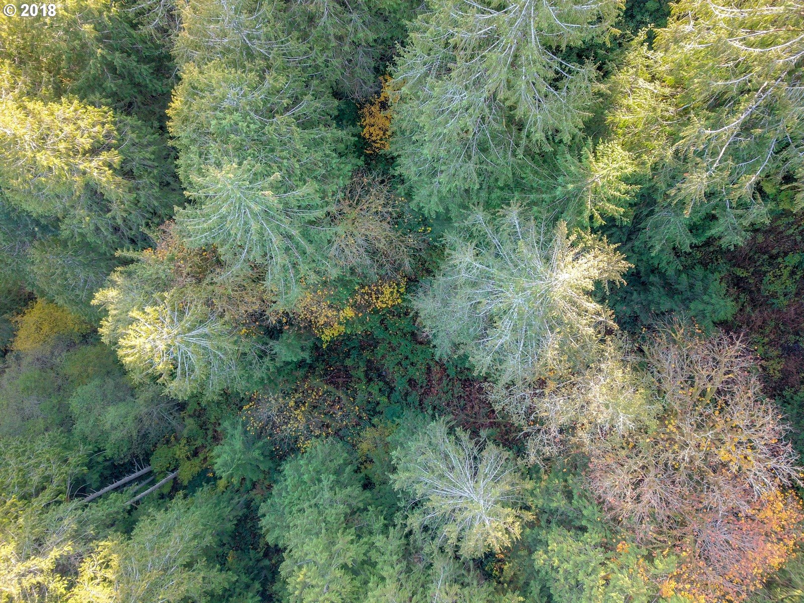 36 Hwy Mapleton Or 97453 Mapleton, OR 97453 - Photo 11 of 18 Gallery Image 11