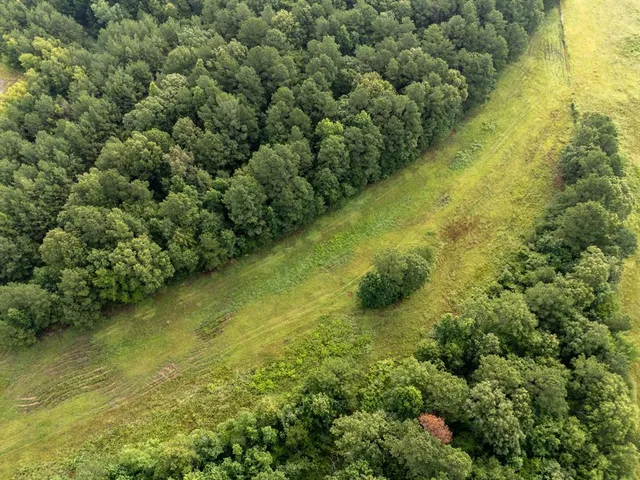 $145,000 | 0 Cr 301 Carthage Tx 75633, Carthage, TX 75633