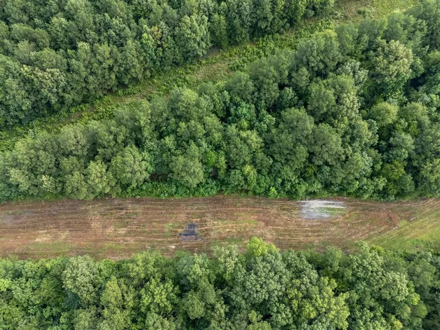 $145,000 | 0 Cr 301 Carthage Tx 75633, Carthage, TX 75633