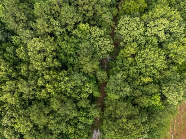 $145,000 | 0 Cr 301 Carthage Tx 75633, Carthage, TX 75633