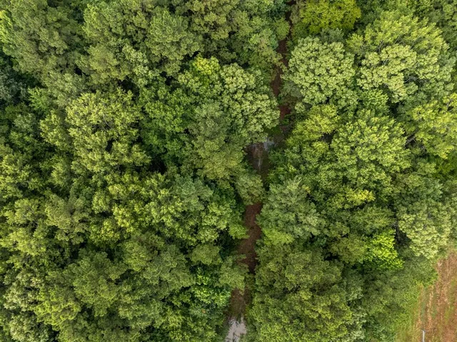 $145,000 | 0 Cr 301 Carthage Tx 75633, Carthage, TX 75633