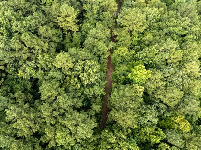 $145,000 | 0 Cr 301 Carthage Tx 75633, Carthage, TX 75633