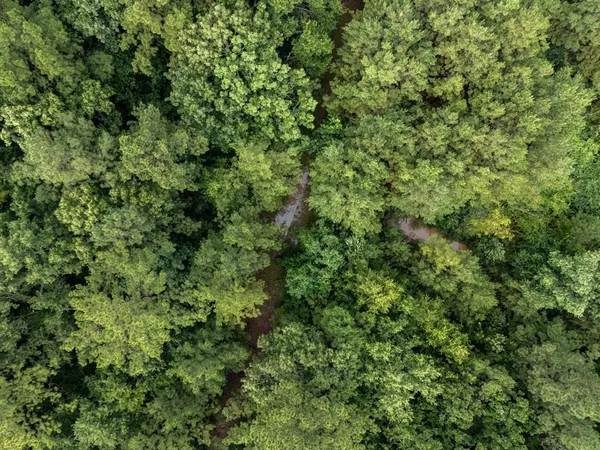 $145,000 | 0 Cr 301 Carthage Tx 75633, Carthage, TX 75633