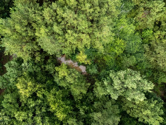 $145,000 | 0 Cr 301 Carthage Tx 75633, Carthage, TX 75633