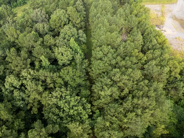 $145,000 | 0 Cr 301 Carthage Tx 75633, Carthage, TX 75633